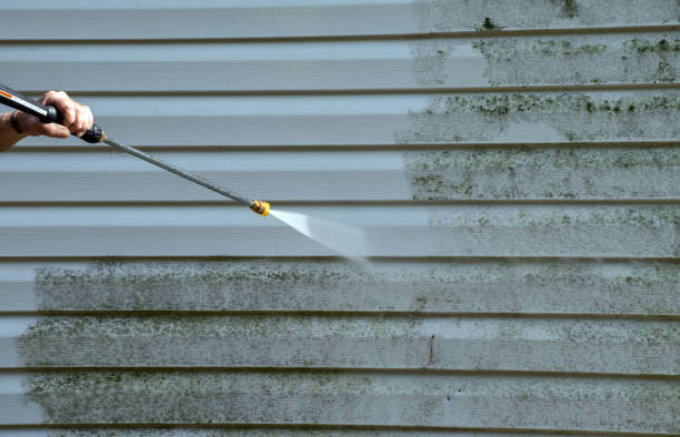Best Gutter Cleaning and Brightening in Beverly Hills, FL